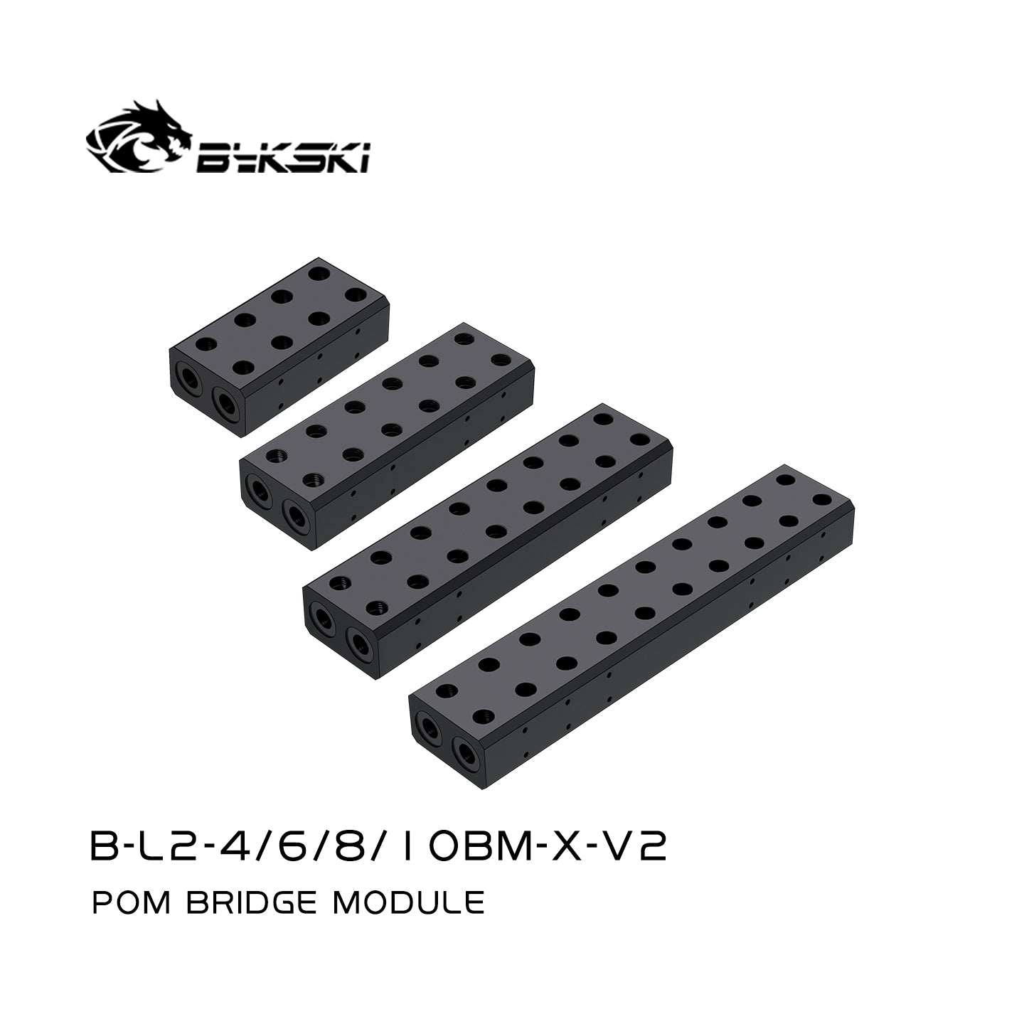 Bridge Module