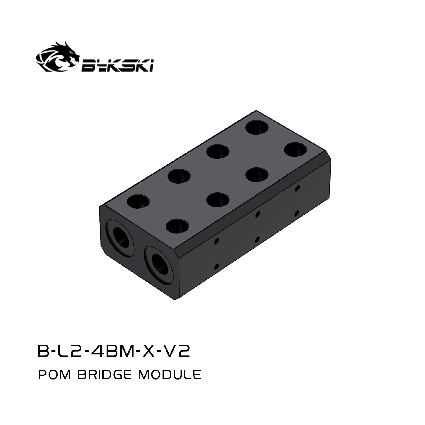Bridge Module